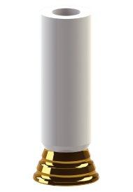 Abutment Prosthetic