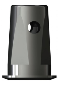 mini Solid Abutment