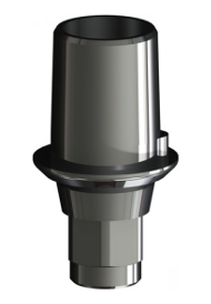 Adhesive Abutment Standard