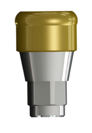 Maximus Abutments two pieces